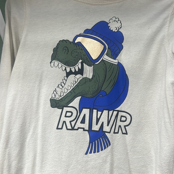 The Children’s Place toddler Boy Dinosaur graphic tee with hood bundle, size 4T - Picture 2 of 6